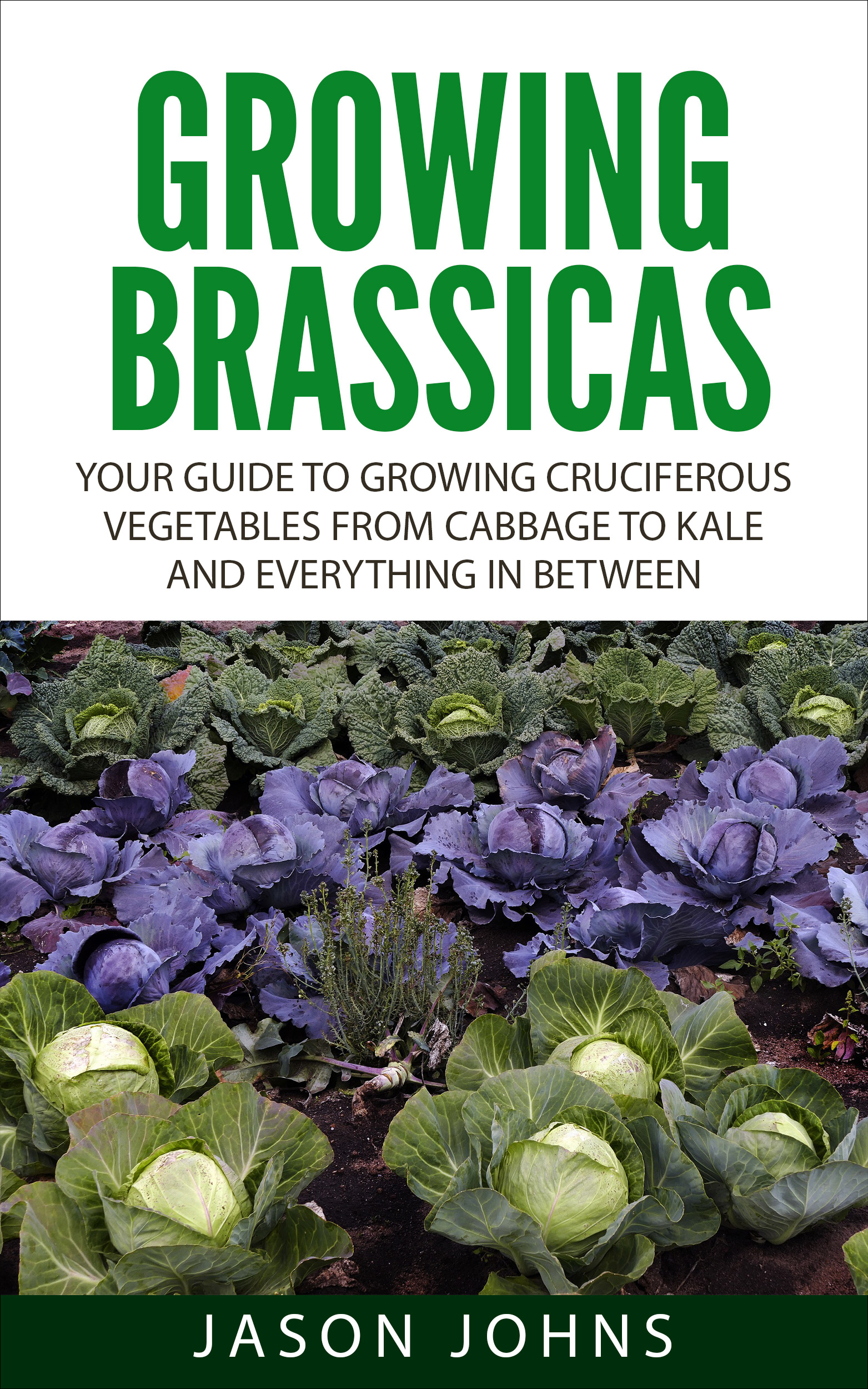 Growing Brassicas Gardening With Jason