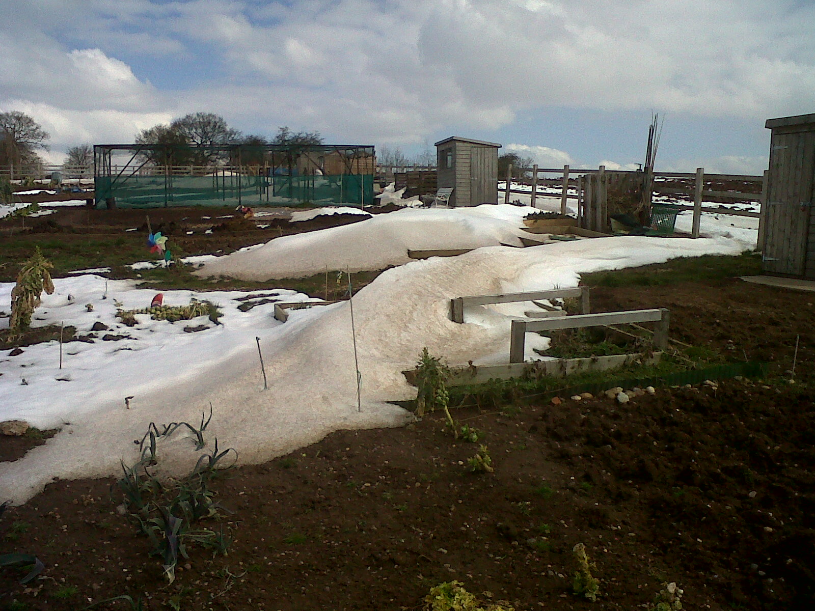 snowy allotment image