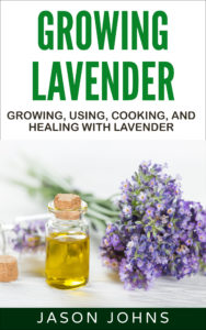 Growing lavender jason johns