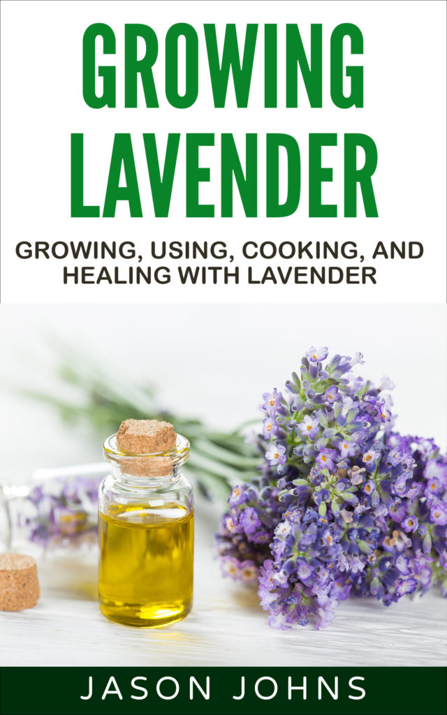 Growing lavender jason johns