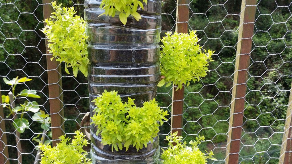 Vertical garden in stacked plastic bottles