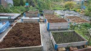 raised beds filled with manure