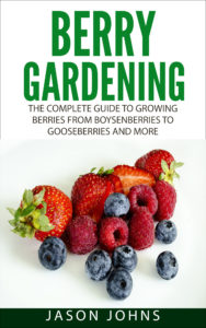 Berry Gardening