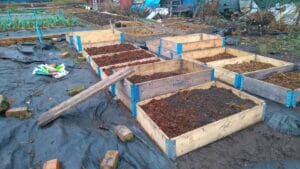 Building Raised Beds
