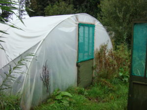 polytunnel