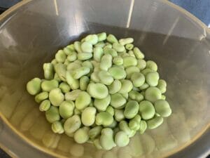 shelled broad beans
