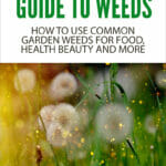 A Gardener's Guide To Weeds