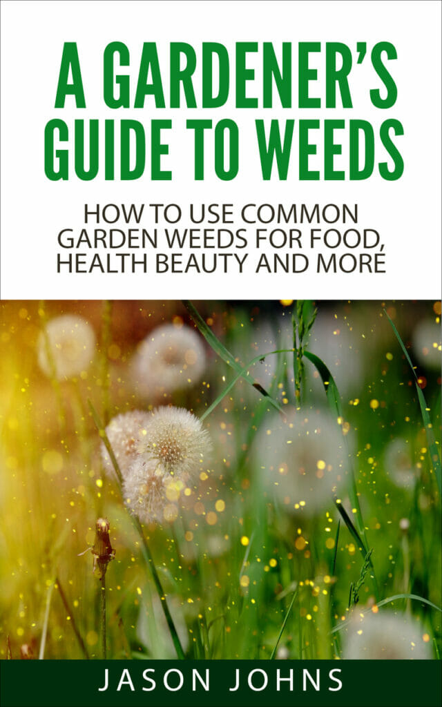 A Gardener's Guide To Weeds